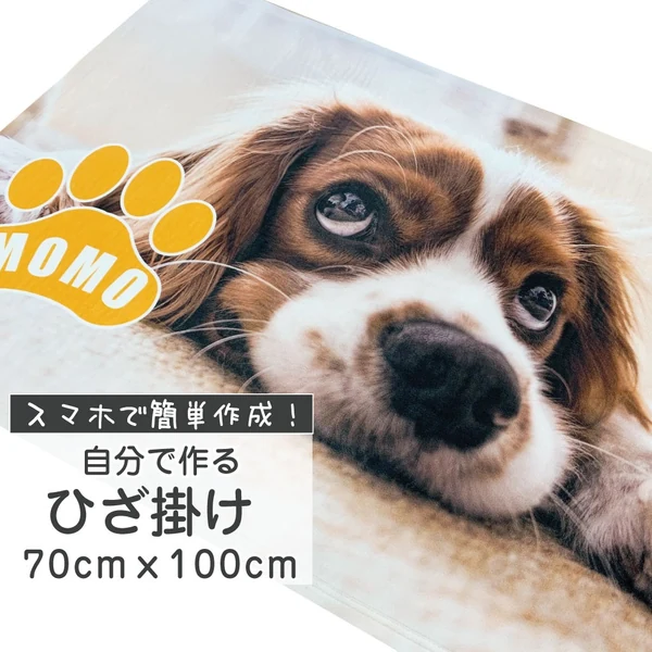 オリジナルひざ掛け